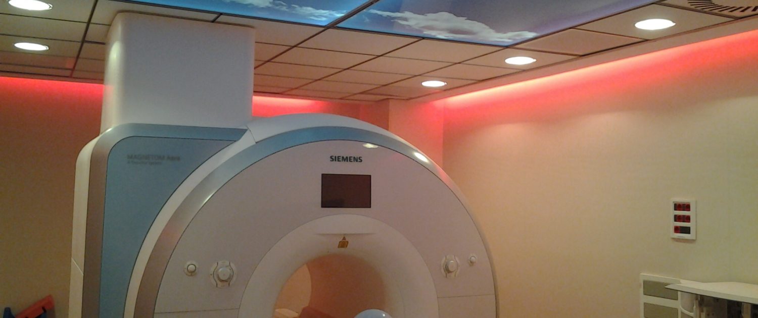 faraday MRI cage